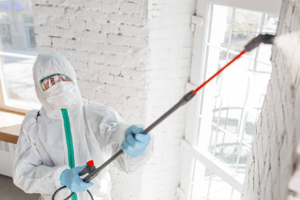 Leupp, AZ Mold Removal Company