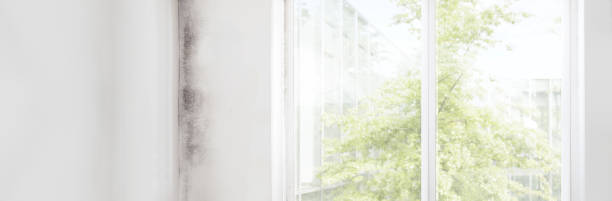 Best HVAC Mold Inspection and Cleaning  in Leupp, AZ