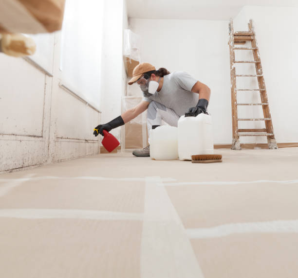 Best Industrial Mold Remediation  in Leupp, AZ