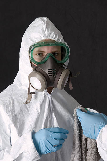 Best Crawl Space Mold Remediation  in Leupp, AZ